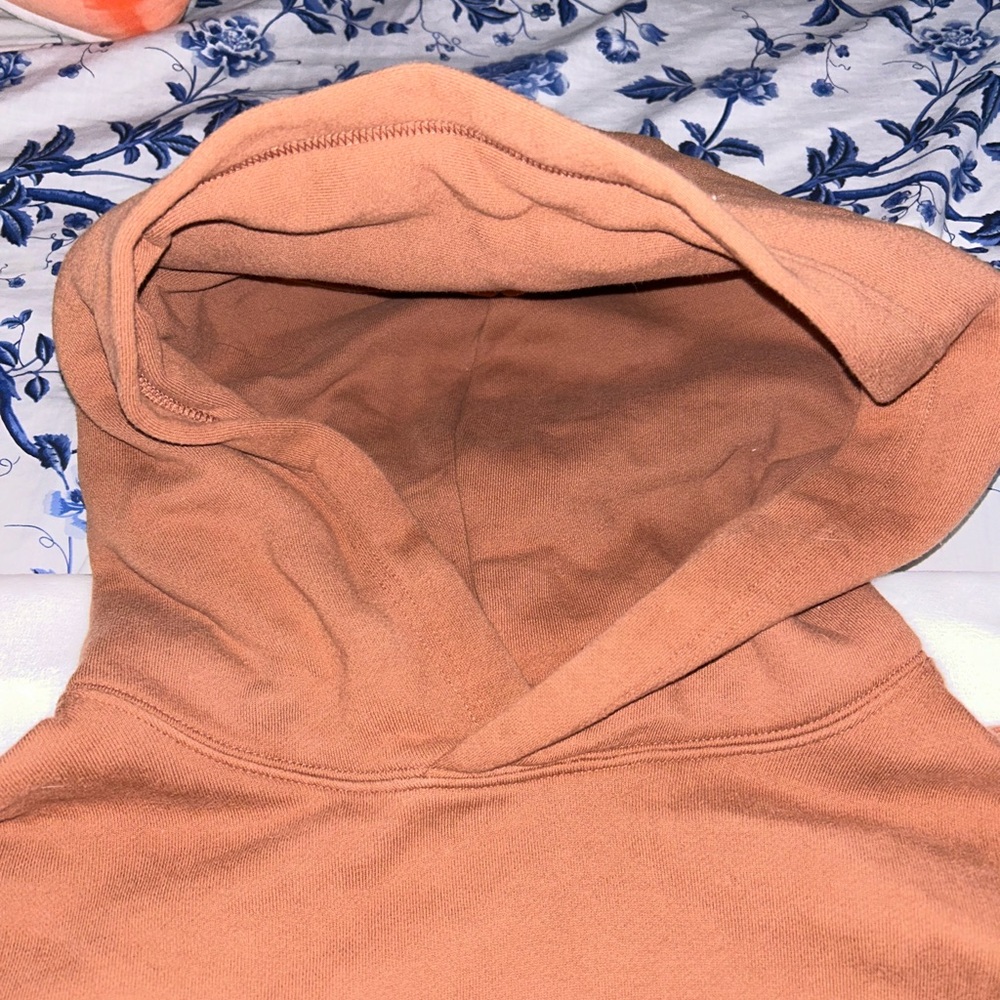 Aritzia Hoodie - Picture 6 of 7
